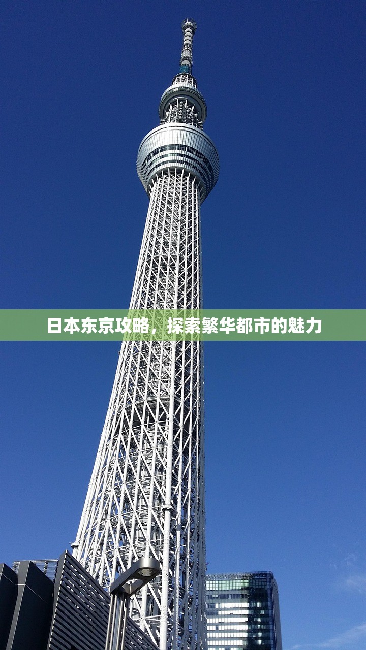 日本东京攻略，探索繁华都市的魅力