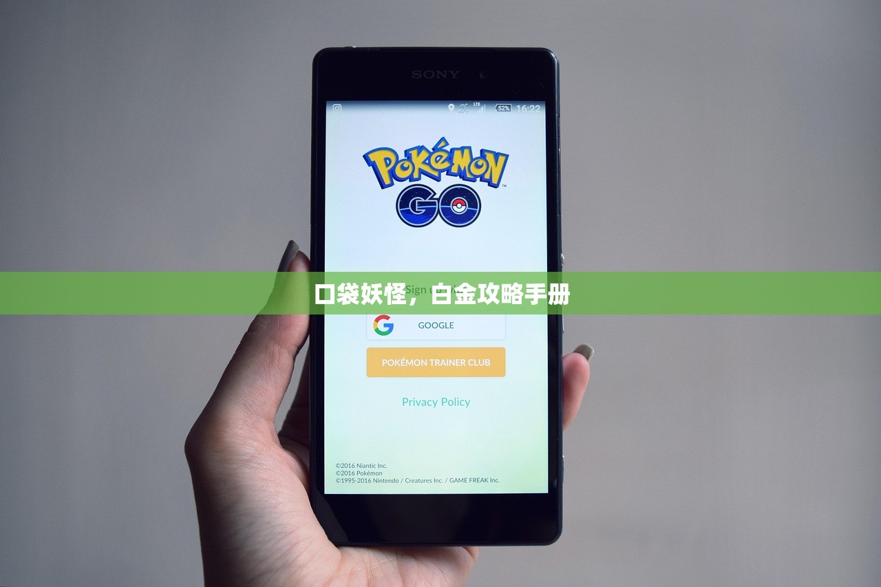 口袋妖怪，白金攻略手册