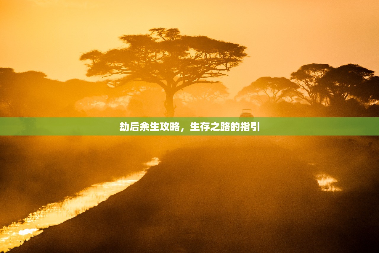 劫后余生攻略，生存之路的指引