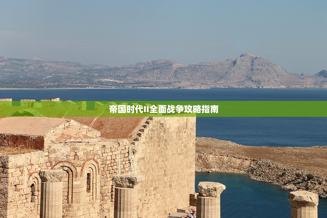 帝国时代II全面战争攻略指南