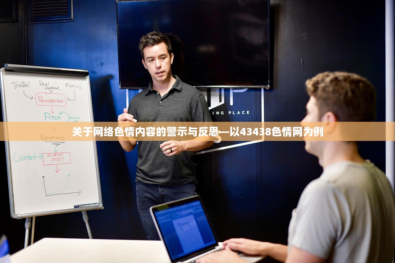 关于网络色情内容的警示与反思—以43438色情网为例