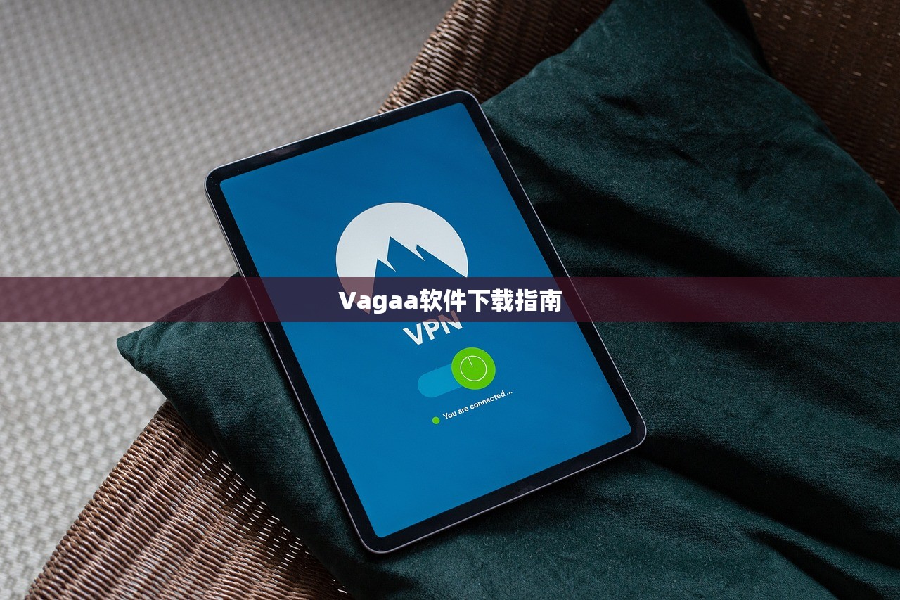 Vagaa软件下载指南
