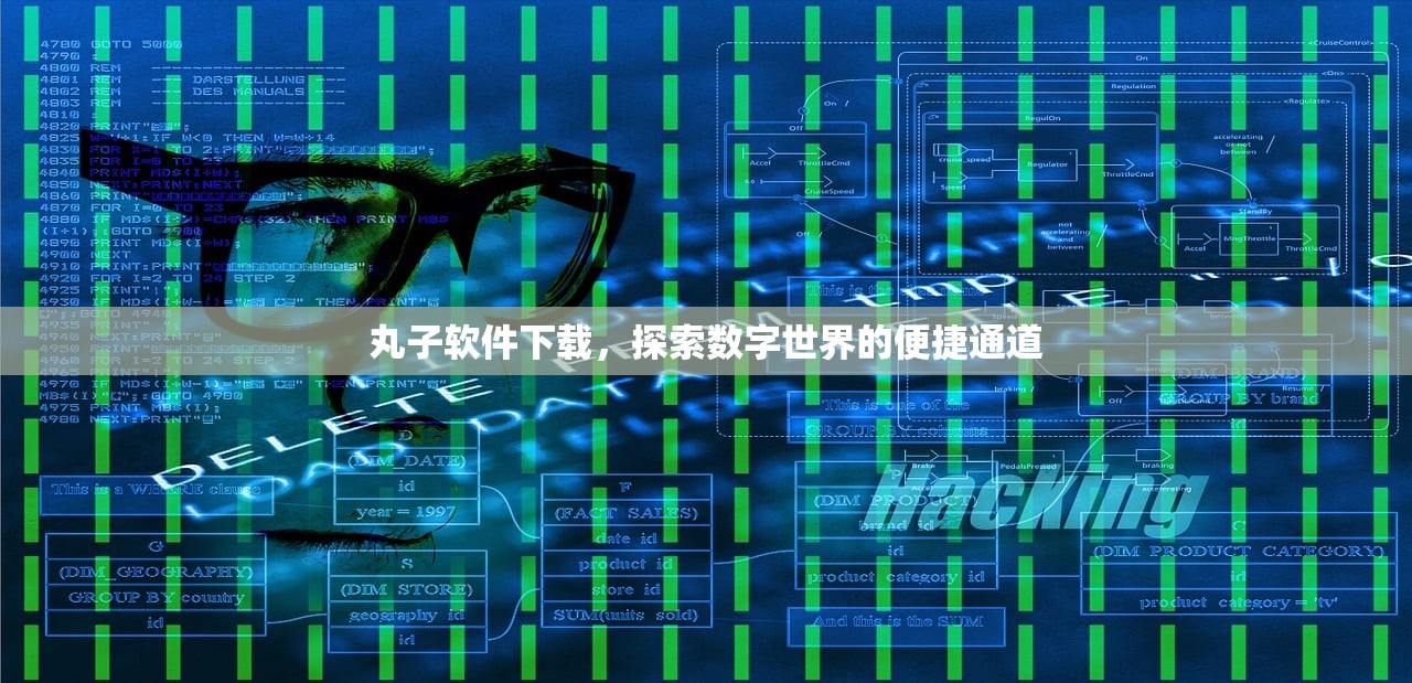 丸子软件下载，探索数字世界的便捷通道