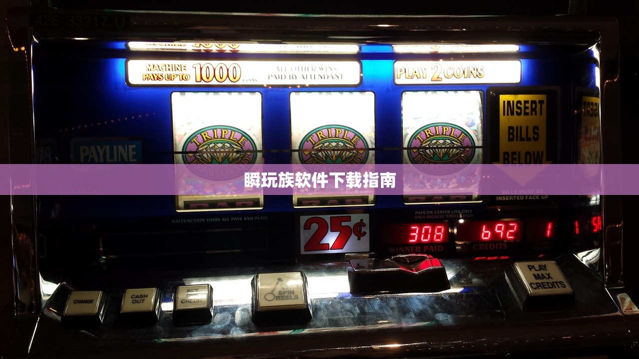 瞬玩族软件下载指南