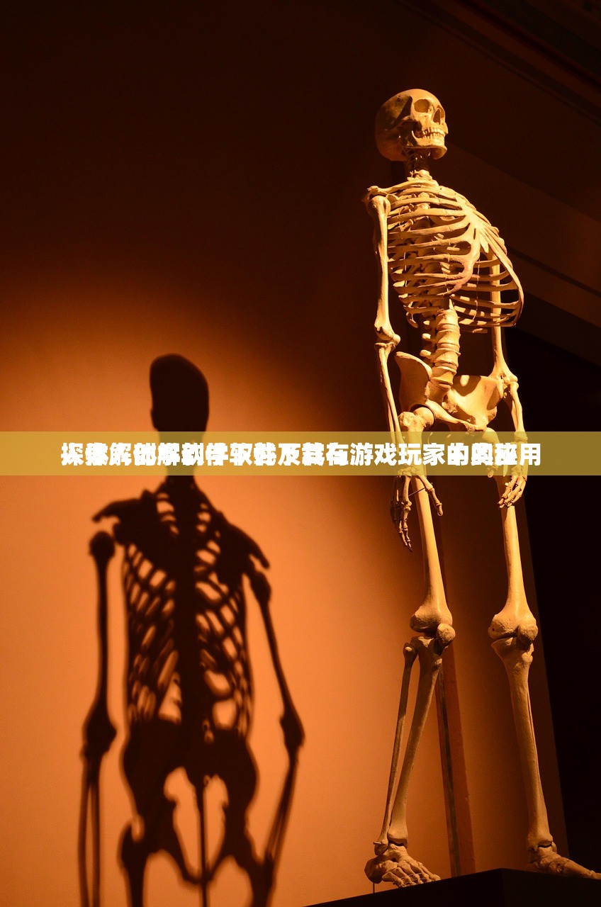 人体解剖学软件下载及其在游戏玩家中的应用
探索人体解剖学软件下载与游戏玩家的奥秘