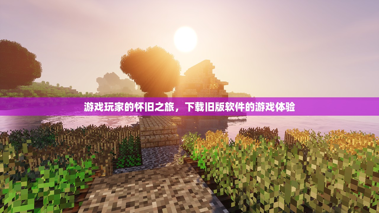 游戏玩家的怀旧之旅，下载旧版软件的游戏体验
