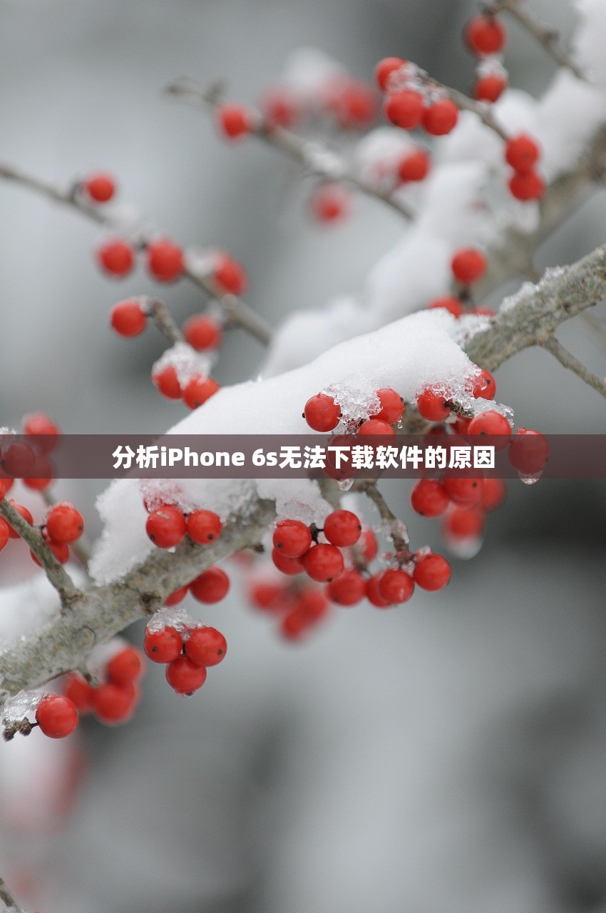 分析iPhone 6s无法下载软件的原因