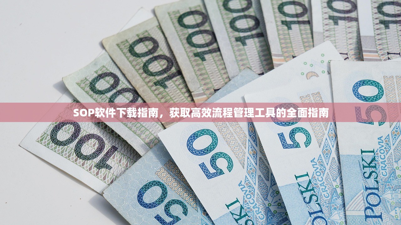 SOP软件下载指南，获取高效流程管理工具的全面指南