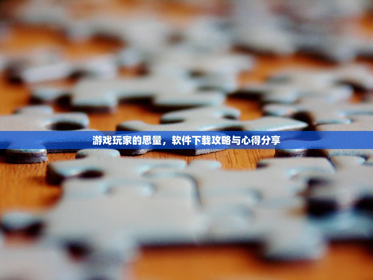 游戏玩家的思量，软件下载攻略与心得分享