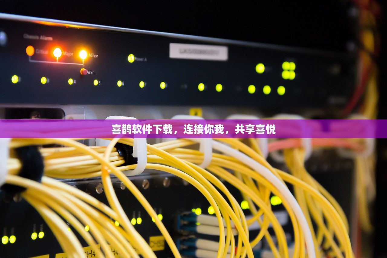 喜鹊软件下载，连接你我，共享喜悦