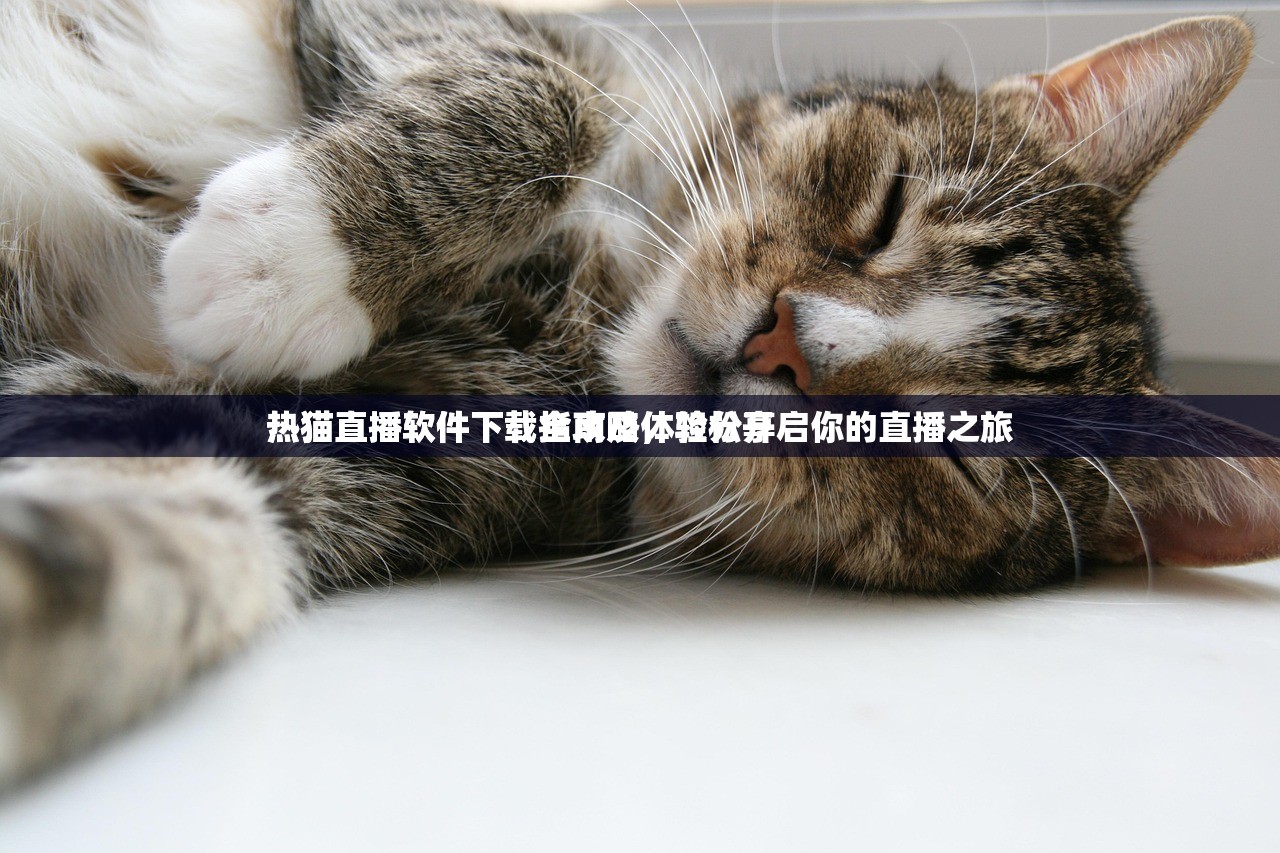 热猫直播软件下载指南及体验分享
热猫直播软件下载全攻略，轻松开启你的直播之旅