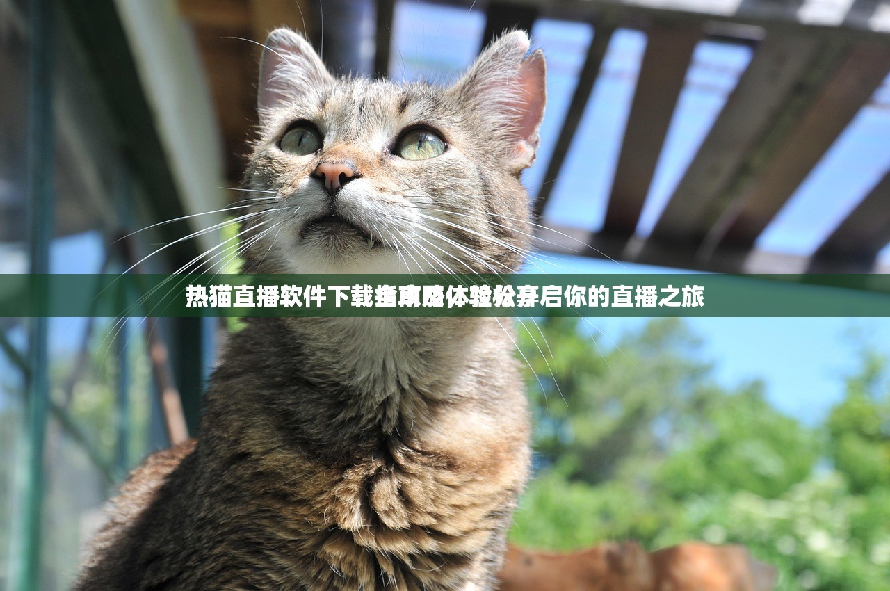 热猫直播软件下载指南及体验分享
热猫直播软件下载全攻略，轻松开启你的直播之旅