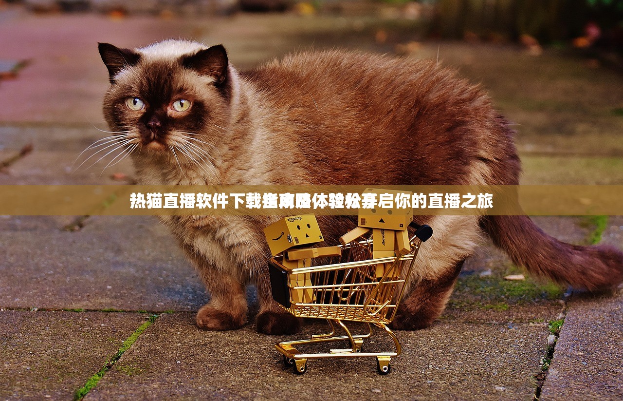 热猫直播软件下载指南及体验分享
热猫直播软件下载全攻略，轻松开启你的直播之旅